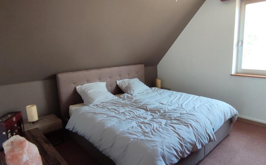 Le Strasbourgeois Apartment Illkirch-Graffenstaden ภายนอก รูปภาพ