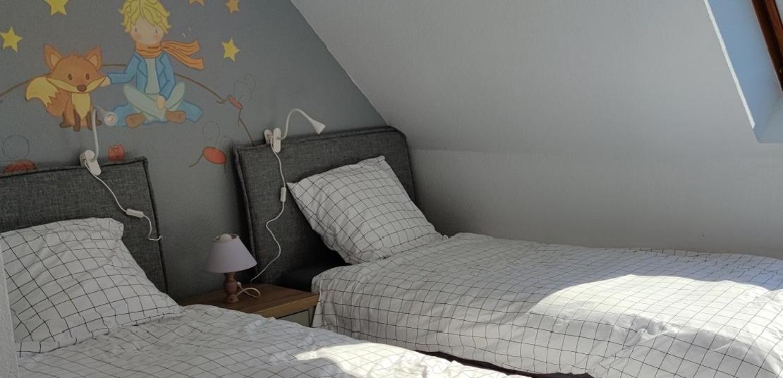 Le Strasbourgeois Apartment Illkirch-Graffenstaden ภายนอก รูปภาพ