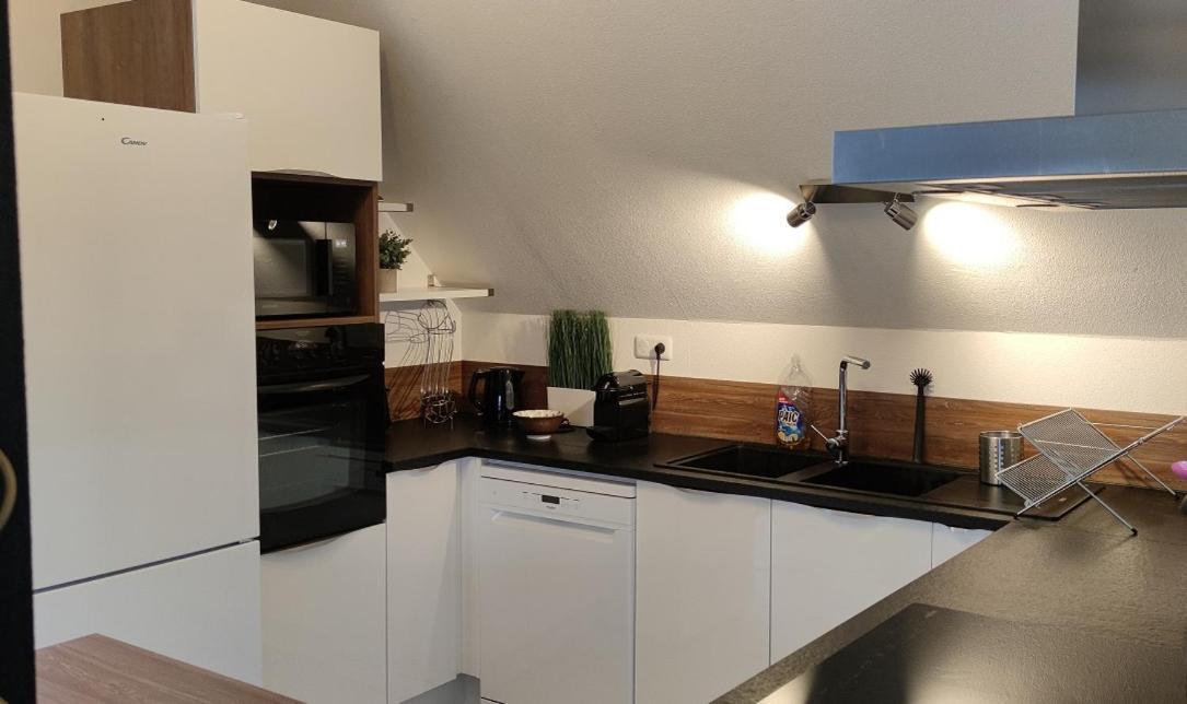 Le Strasbourgeois Apartment Illkirch-Graffenstaden ภายนอก รูปภาพ