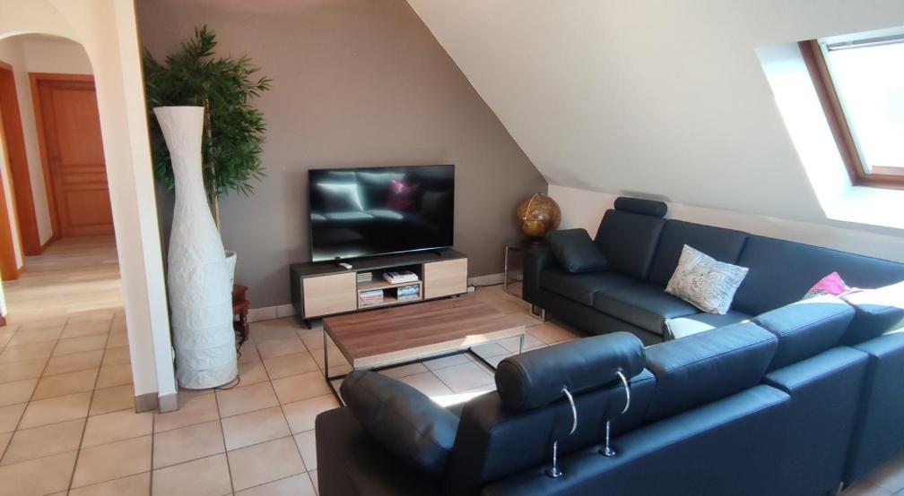 Le Strasbourgeois Apartment Illkirch-Graffenstaden ภายนอก รูปภาพ