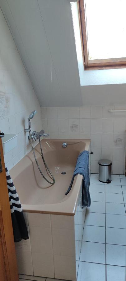 Le Strasbourgeois Apartment Illkirch-Graffenstaden ภายนอก รูปภาพ